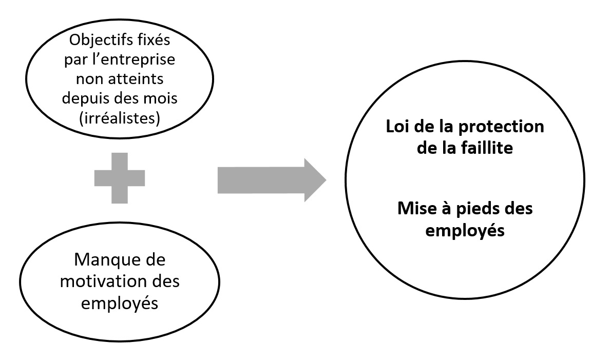 Modèle de représentation visuelle causal - Guide de lecture universitaire UQAT